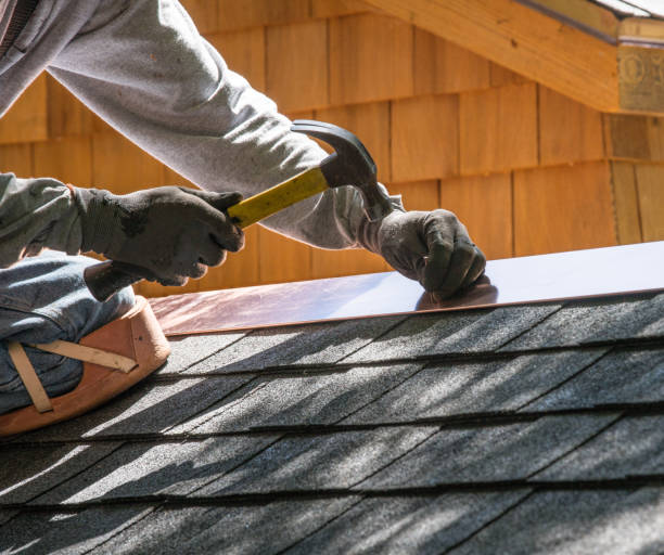 Best Roof Gutter Cleaning  in Capitan, NM